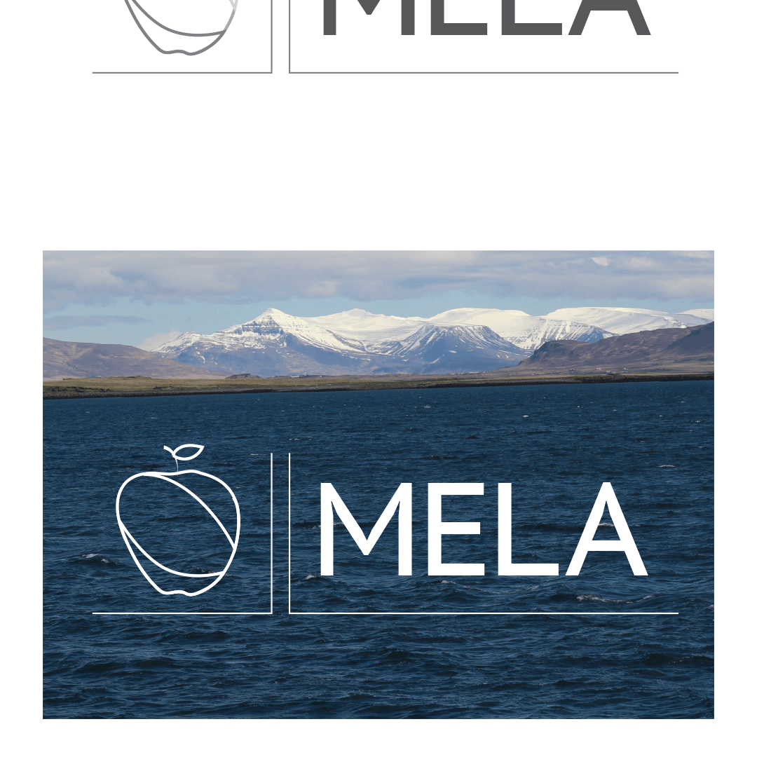 Logo design for Metro Education Language Assessment, Inc. Logo design for Metro Education Language Assessment, Inc.