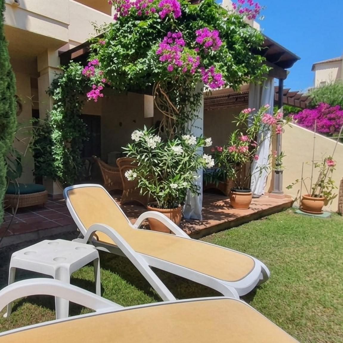 Garden with sun beds Garden with sun beds