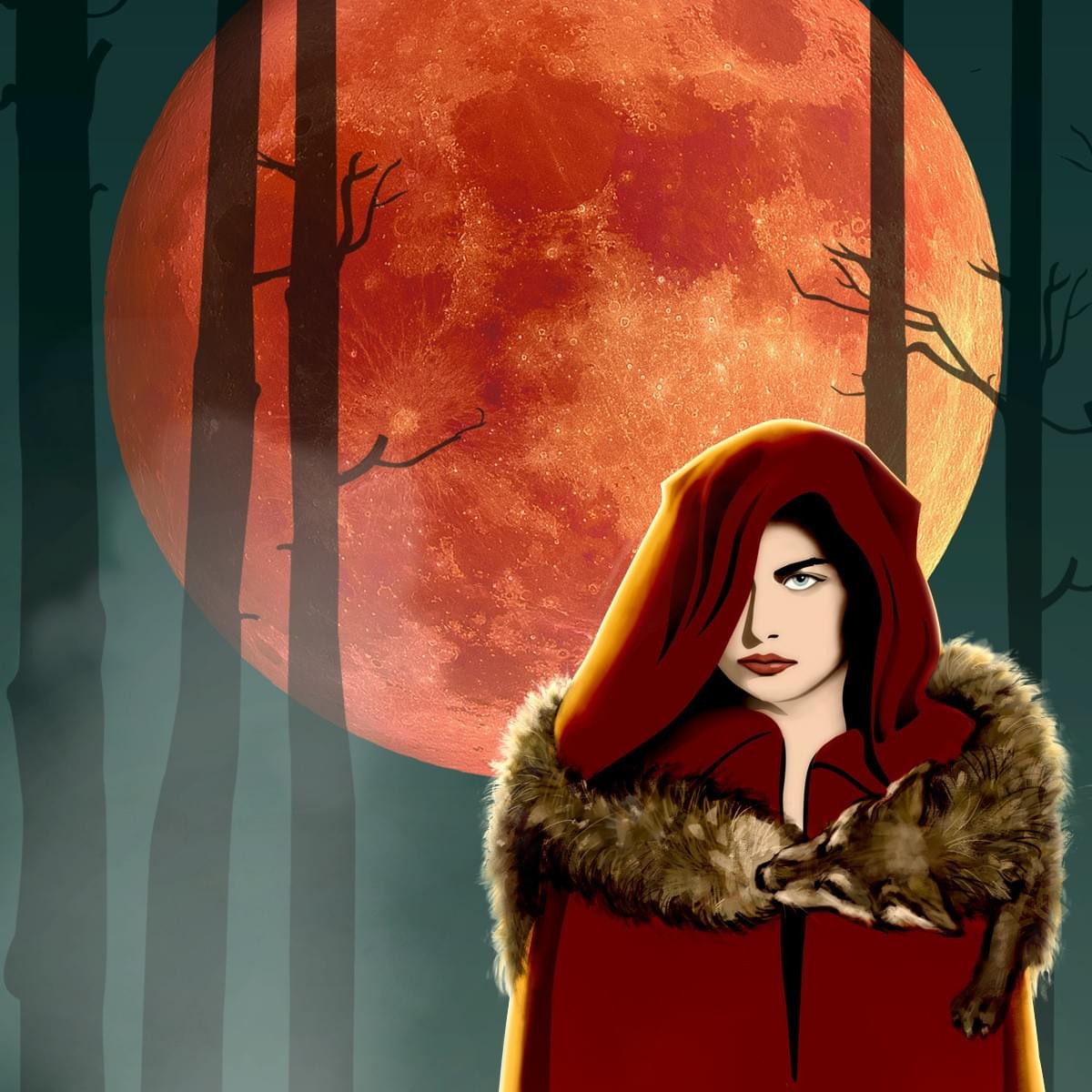 Into the Woods Into the Woods