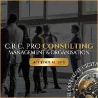 Développement des Entreprises Développement des Entreprises