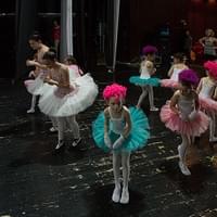 IMG_7375-lr6_tn IMG_7375-lr6_tn