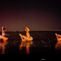 IMG_7576-lr6_tn IMG_7576-lr6_tn