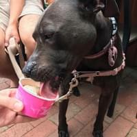 Photo Credit: A. Huang