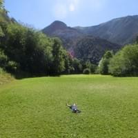 Section image