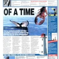 Having a Whale of a Time - Travel Article Having a Whale of a Time - Travel Article