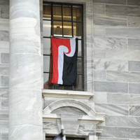 Hīkoi Nov 2024 Hīkoi Nov 2024