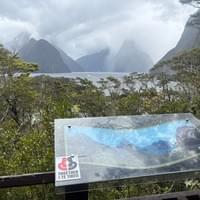 Together for te tiriti sticker in the wild Together for te tiriti sticker in the wild