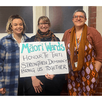 Māori wards Māori wards