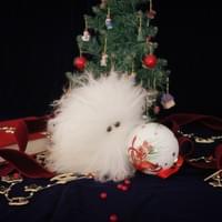 クリスマス撮影 オフショット クリスマス撮影 オフショット