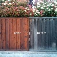 A fence in a residential neighborhood after cleaning & sealing. The difference is amazing.