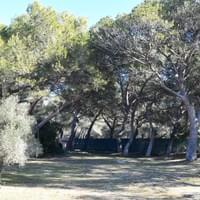 Section image