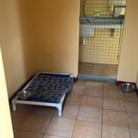 Orthopaedic beds - Country Dogs Boarding Kennels & Cattery Orthopaedic beds - Country Dogs Boarding Kennels & Cattery