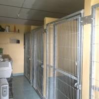 State of the art facilities - Country Dogs Boarding Kennels & Cattery State of the art facilities - Country Dogs Boarding Kennels & Cattery
