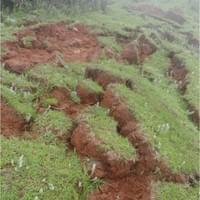 Destruction des sols arables