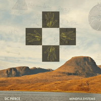 Mindful Systems - DC Pierce
