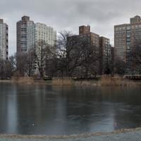 Central Park 2 Central Park 2