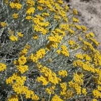 Gîtes Mara locations vacances tizzano Corse Gîtes Mara locations vacances tizzano Corse