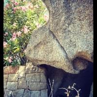 Gîtes Mara locations vacances tizzano Corse Gîtes Mara locations vacances tizzano Corse