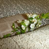 Gîtes Mara locations vacances tizzano Corse Gîtes Mara locations vacances tizzano Corse