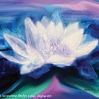 Lotus Lotus