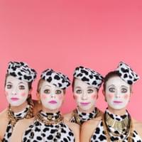 Image by Theresa Harrison Image by Theresa Harrison