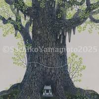 たらちね たらちね