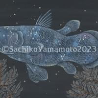 シーラカンス 2023-5 シーラカンス 2023-5