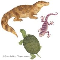 歴史街道連載『動物と歴史の意外な関係』 挿絵3 歴史街道連載『動物と歴史の意外な関係』 挿絵3