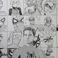 spider man spider man