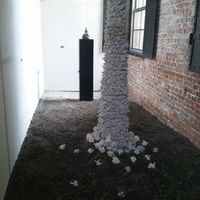 Mt. pepper -Installation- Mt. pepper -Installation-