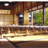 Red Peppers -Installation- Red Peppers -Installation-