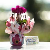 また来年お会いしましょう!