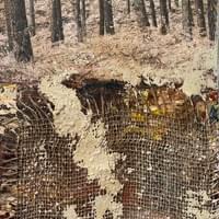 Dans la forêt Dans la forêt