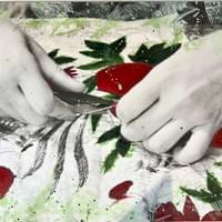 Les grenades Les grenades