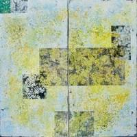 Les mimosas Les mimosas