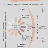 3Ts One Cycle 3Ts One Cycle