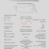 3Ts Supporting activation 3Ts Supporting activation