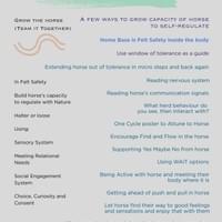 3Ts Growing Horse's Regulation 3Ts Growing Horse's Regulation