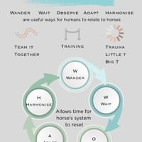 3Ts WWOAH cycle 3Ts WWOAH cycle