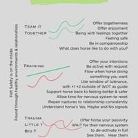 3Ts Description 3Ts Description