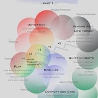3Ts ANS & Window of Tolerance 3Ts ANS & Window of Tolerance