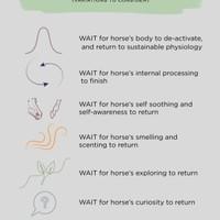 3Ts and Wait Options 3Ts and Wait Options