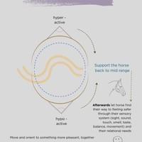 3Ts Feeling Safer Part 2 3Ts Feeling Safer Part 2