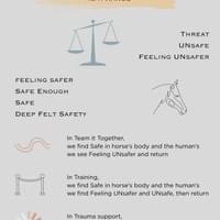 3Ts Felt Safety is a Range 3Ts Felt Safety is a Range