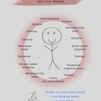 3Ts Horses see our Human Story 3Ts Horses see our Human Story