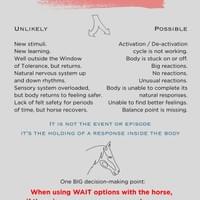 3Ts Is this Horse Trauma? 3Ts Is this Horse Trauma?