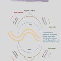 3Ts Feeling Safer Part 1 3Ts Feeling Safer Part 1