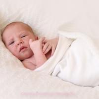 Lily 10 days old Lily 10 days old