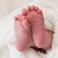 Lily 10 days old Lily 10 days old