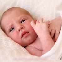 Lily 10 days old Lily 10 days old